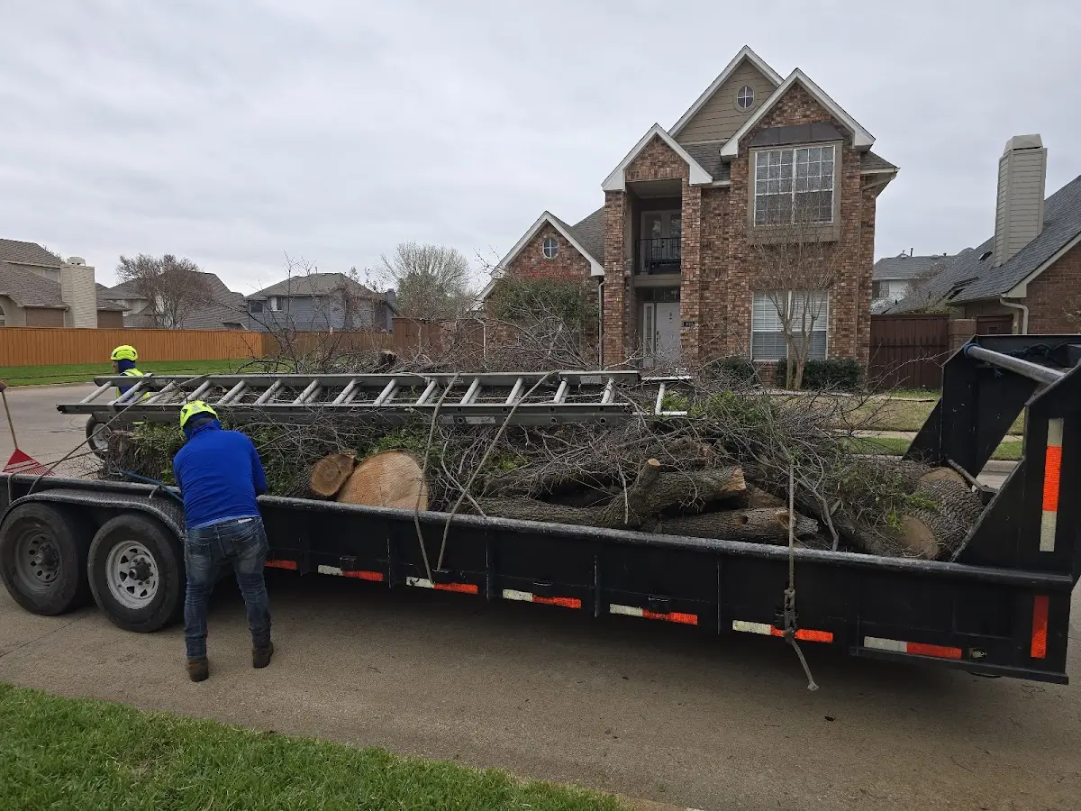 Expert Tree Removal with proper safety equipment in Nickerson
